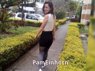 PamEinhorn
