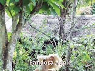 Pandora_Apple