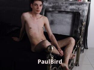 PaulBird
