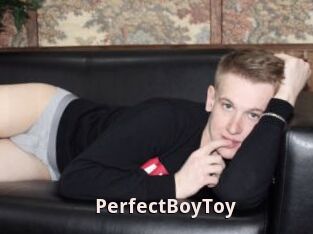 PerfectBoyToy