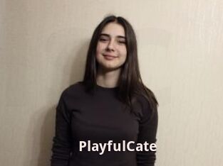 PlayfulCate