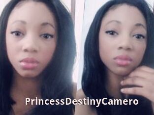 PrincessDestinyCamero