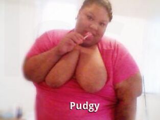 Pudgy