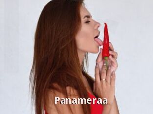 Panameraa