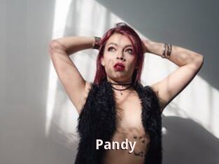 Pandy