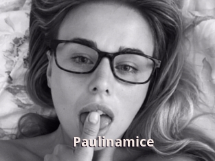 Paulinamice