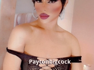 Paytonbigcock