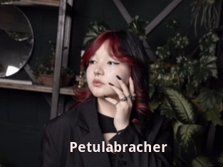 Petulabracher