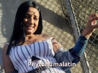 Peytonumalatin