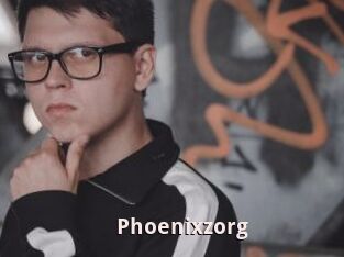 Phoenixzorg