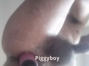 Piggyboy