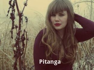 Pitanga