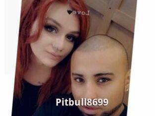 Pitbull8699