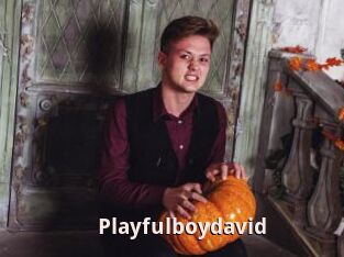 Playfulboydavid