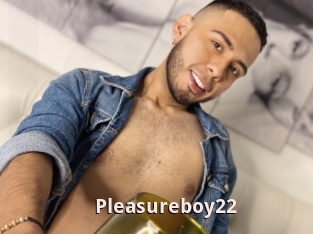 Pleasureboy22