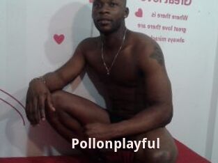 Pollonplayful