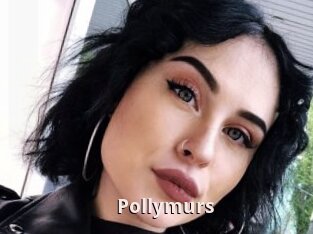 Pollymurs