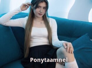 Ponytaamnel