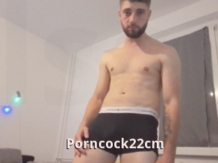 Porncock22cm
