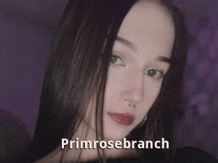 Primrosebranch