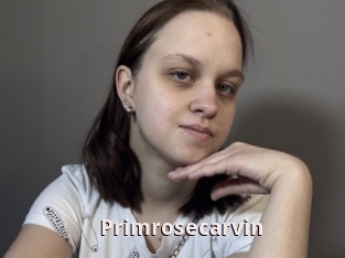 Primrosecarvin