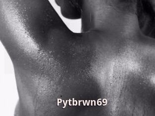 Pytbrwn69