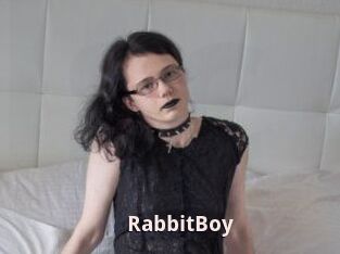 RabbitBoy