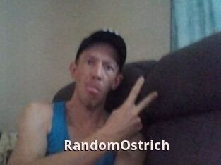 RandomOstrich