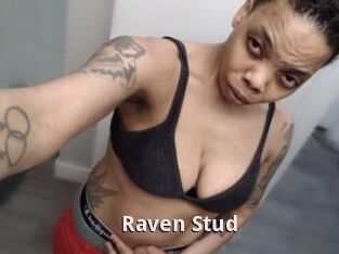 Raven_Stud