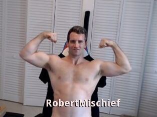 RobertMischief