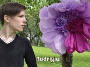 Rodrigie