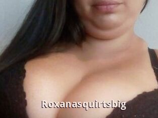 Roxanasquirtsbig