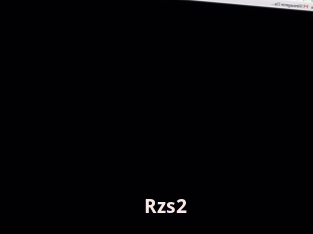 Rzs2