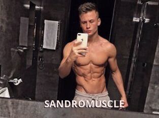 SANDRO_MUSCLE