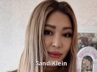 SandiKlein