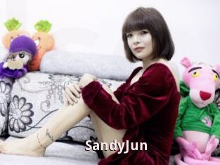 SandyJun