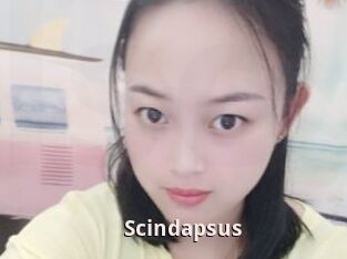 Scindapsus