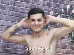 ShaneBlack