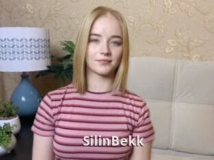 SilinBekk