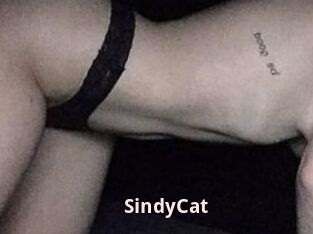 SindyCat