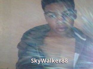 SkyWalker88