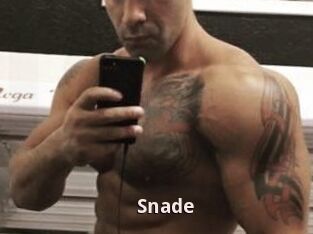 Snade