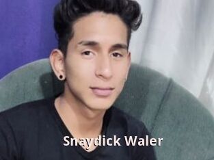 Snaydick_Waler