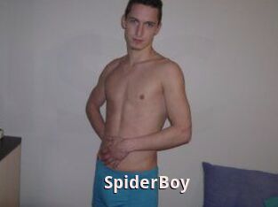SpiderBoy
