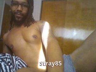 Stray85