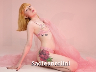 Sadieantolini