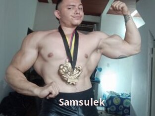Samsulek