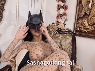Sashagodonghai