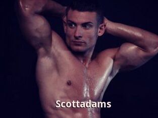Scottadams