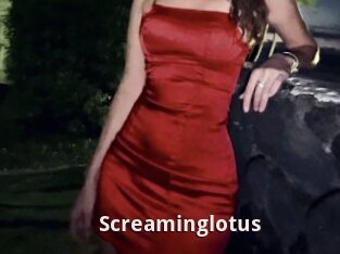Screaminglotus